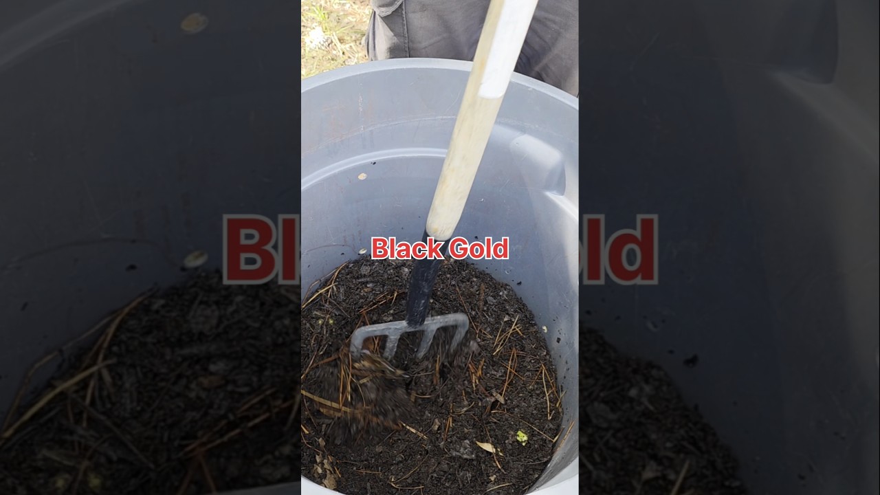 Turning Compost the Easy Way!