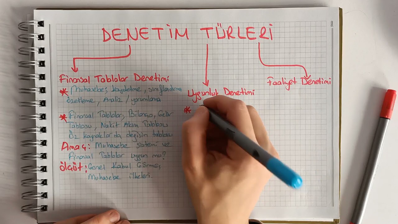 Denetim ( Amaç Yönünden Denetim Türleri)