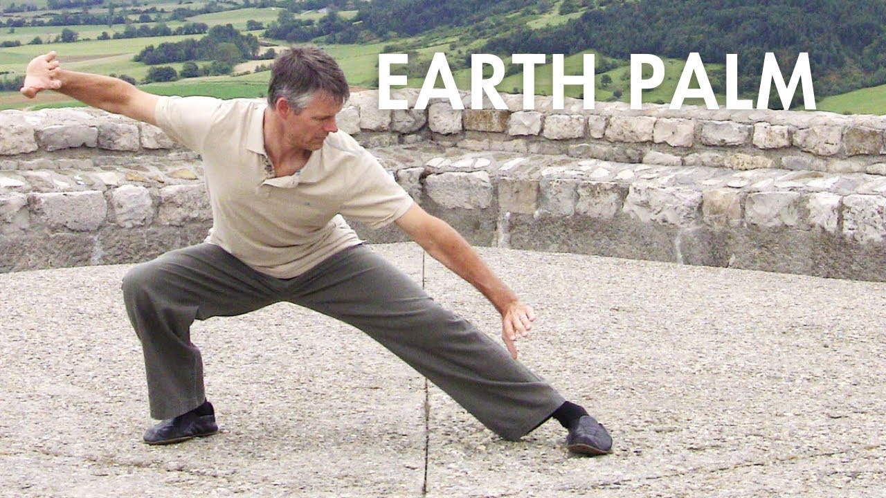 Baguazhang Double Palm Change