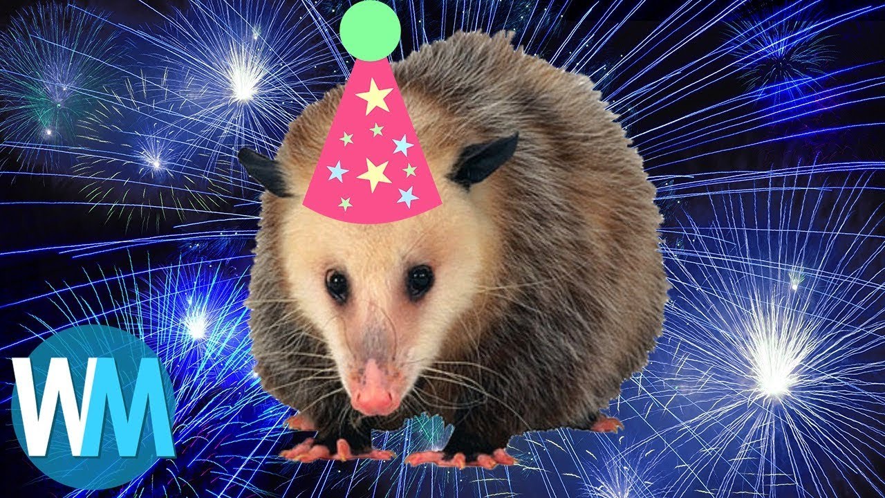 Top 10 Strangest and Most Interesting New Year&rsquo;s Traditions