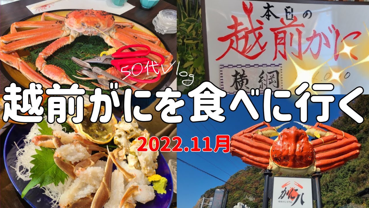 【越前がに専門店/カニ八】横綱！越前ガニの値段はいくら？？一番美味しい調理法は〇〇だった