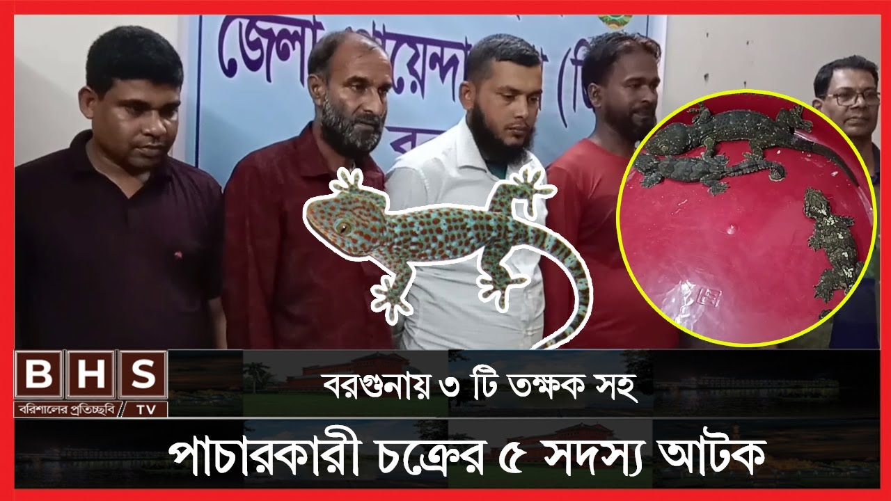ক্রেতা সেজে ৩ টি তক্ষক সহ ৫ পাচারকারীকে আটক করেছে বরগুনা জেলা ডিবি পুলিশ ।। Barguna News ।। BHS TV