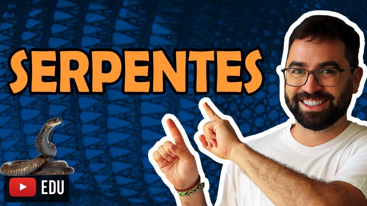 Serpentes - Aula 31 - M&oacute;dulo VI: Zoologia | Prof. Gui