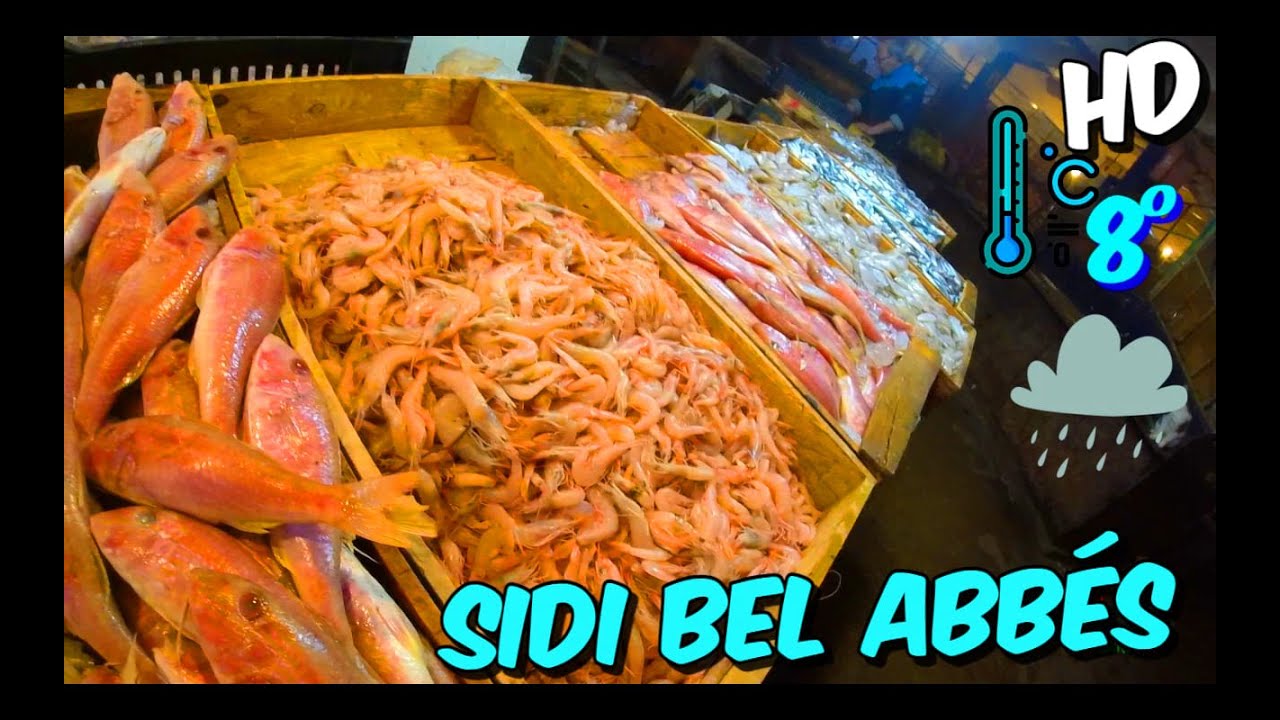 SIDI BEL ABBÉS À Vélo 1 Janvier 2024 Marché Poisson DZ  #سيدي_بلعباس  #sidibelabbes #dzair