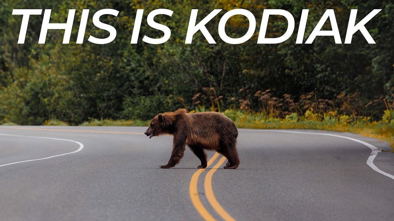 Это Кадьяк (кинематографическое видео «Природа и дикая природа Аляски» в формате 4K)