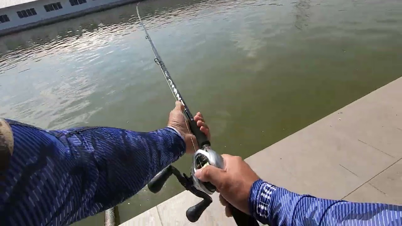 Zenaq Glanz B78-10X in action