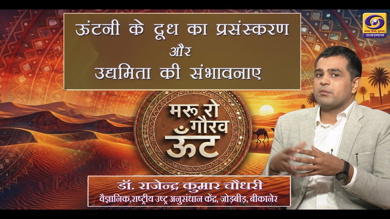 मरू रो गौरव ऊंट | ऊंटनी के दूध का प्रसंस्करण और उद्यमिता की संभावनाएं | Dr Rajendra Kumar Chaudhary