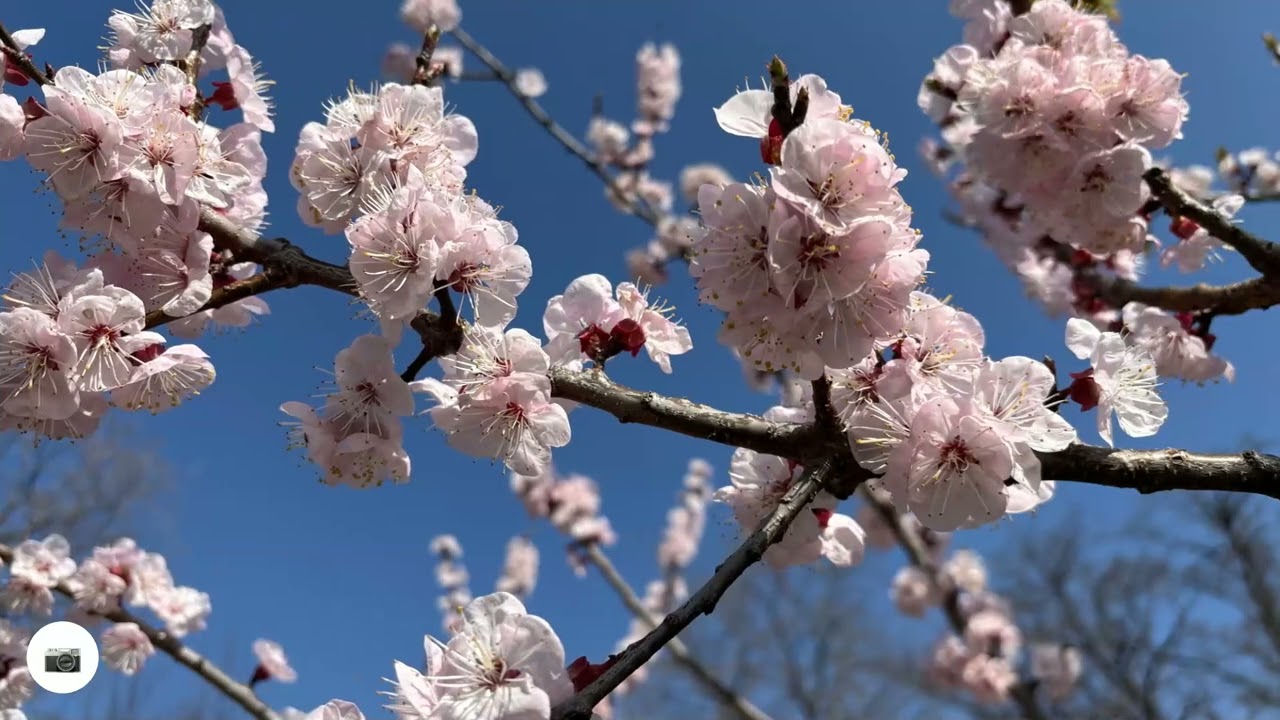 Relive - Kojsko MTB - 8/3/2026