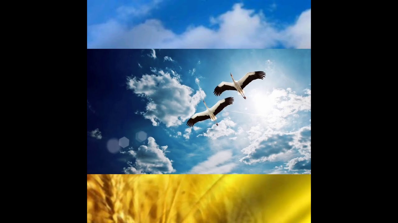 Вшанування пам'яті Героїв Небесної Сотні