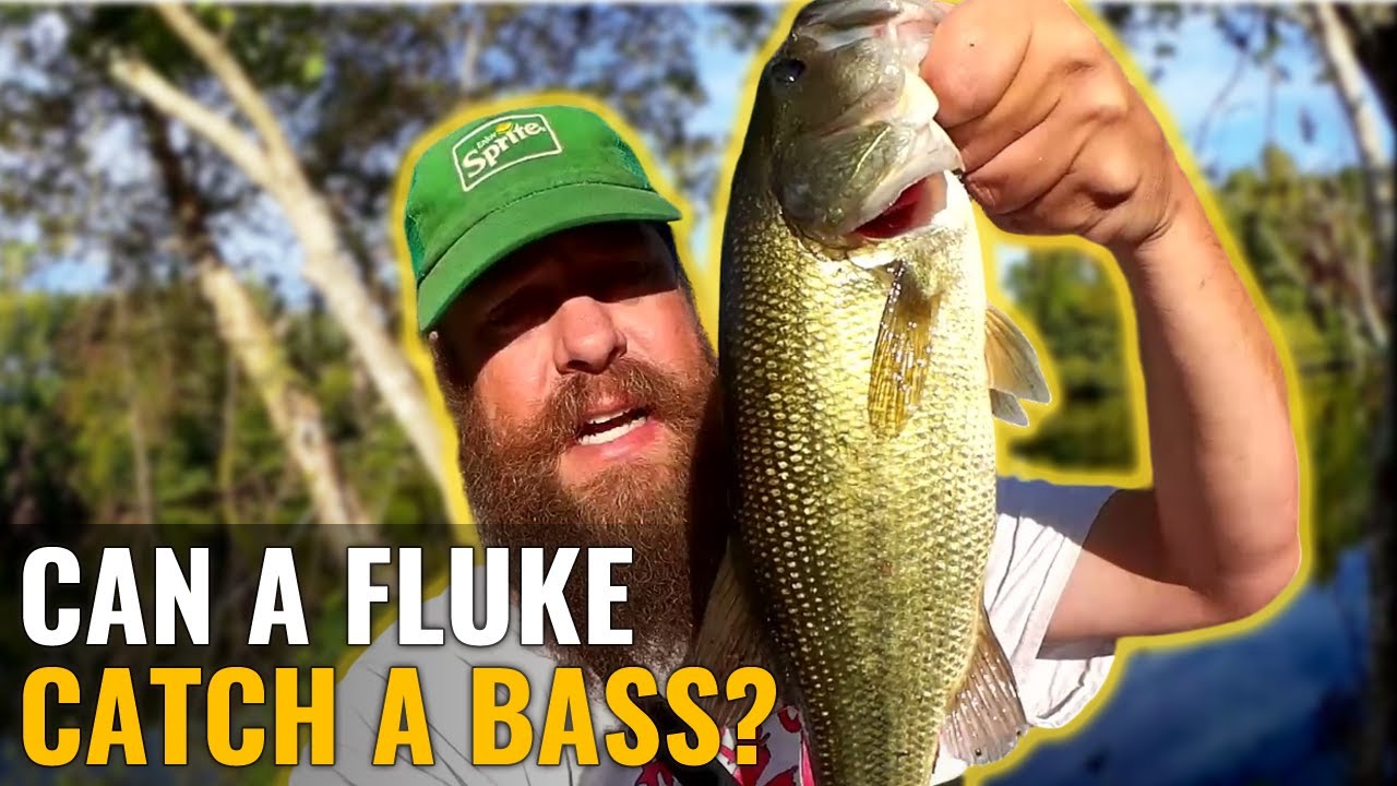 Can a FLUKE Still Catch Fish? Early FALL FISHING With a Fluke