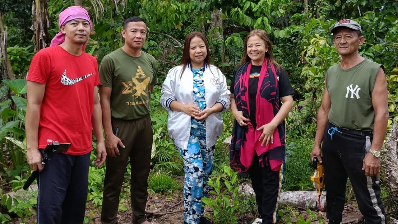 Documentary video about land, trees, and people.