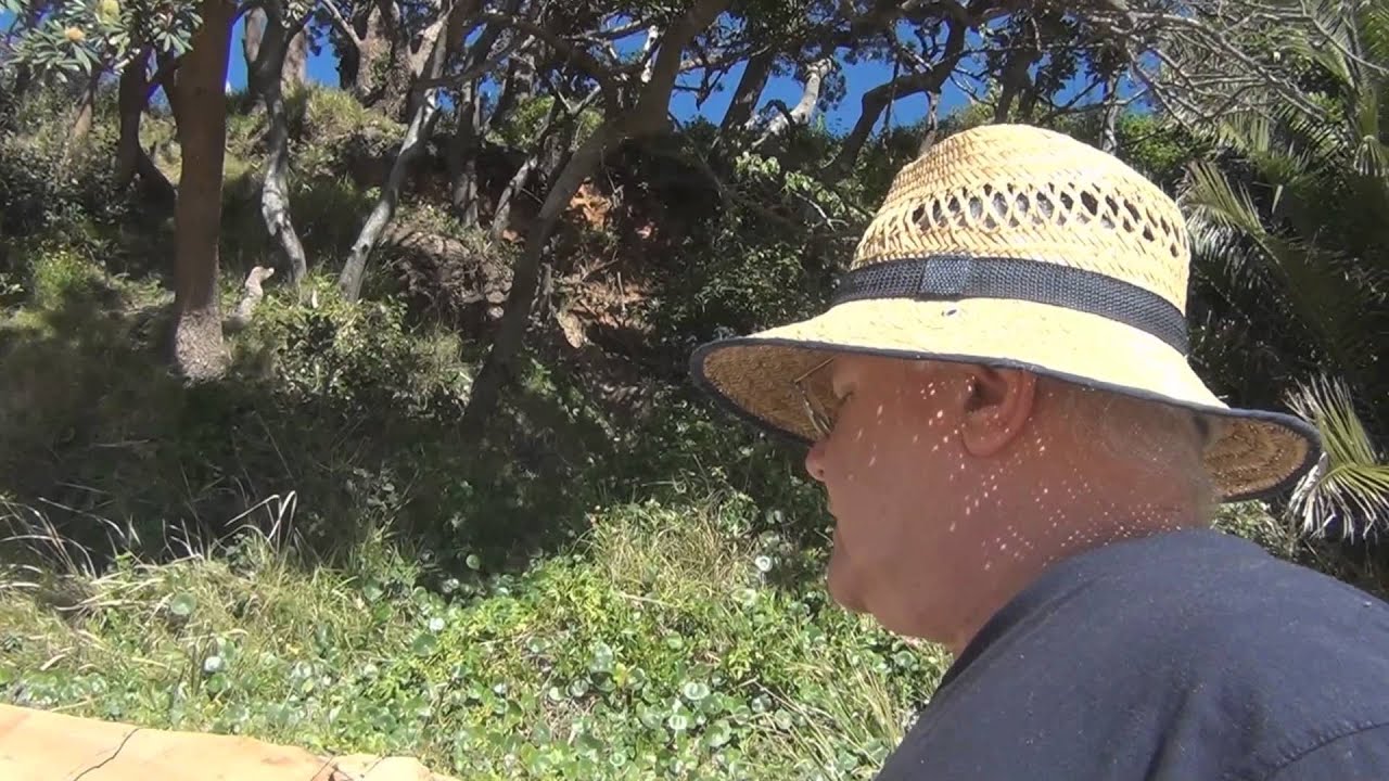 CENTRAL COAST - GRAEME BALCHIN - TERRIGAL EN PLEIN AIR 2012