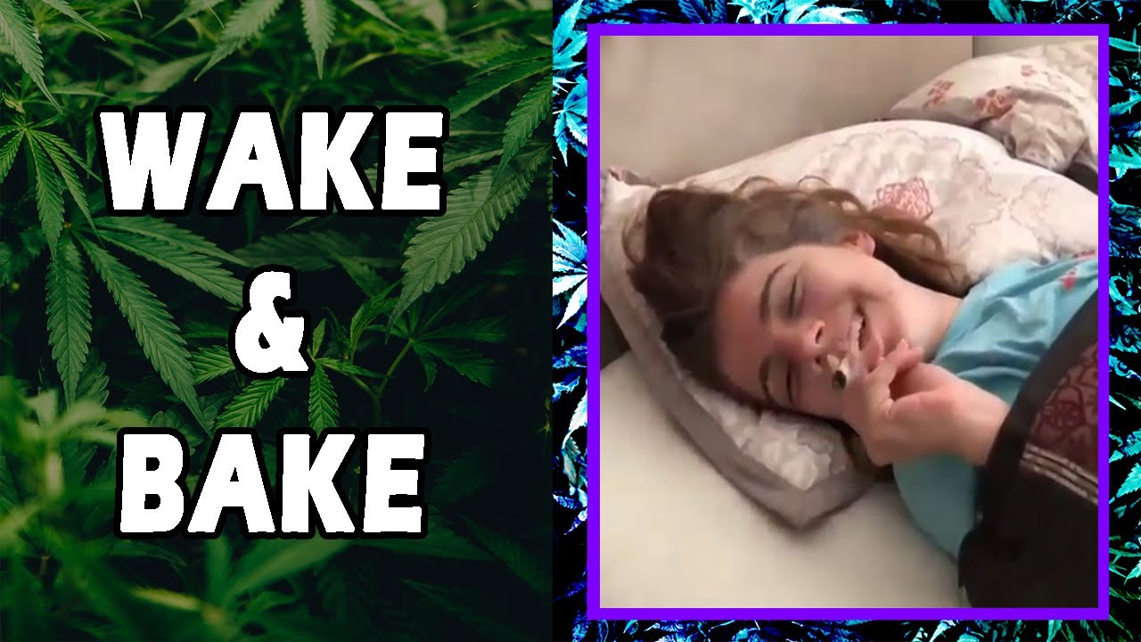 WEED MEMES & Fail Compilation [#15] - Fatally Stoned