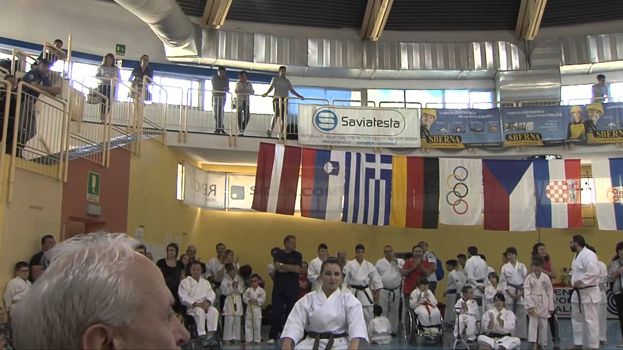 Karate e disabilita' (Volta Mantovana, 31/05/2014)