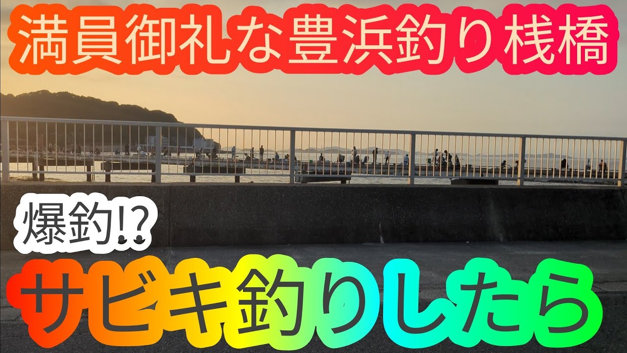 豊浜釣り桟橋のサビキ釣りは爆釣です…愛知県 知多半島 知多湾 南知多 海釣り fishing  アジ サバ