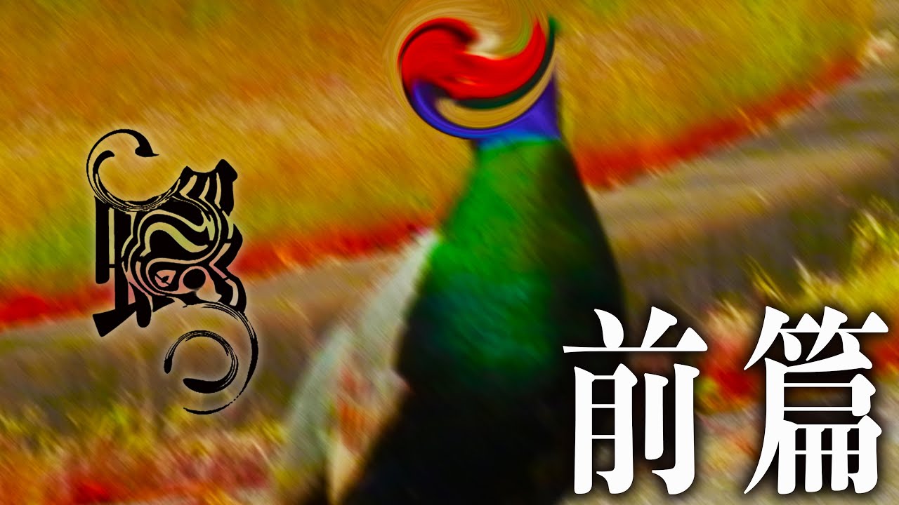 ＃54【辛口】①キジの写真/前編 この廃墟で何があった？2年に渡る調査の結果報告Japanese horror