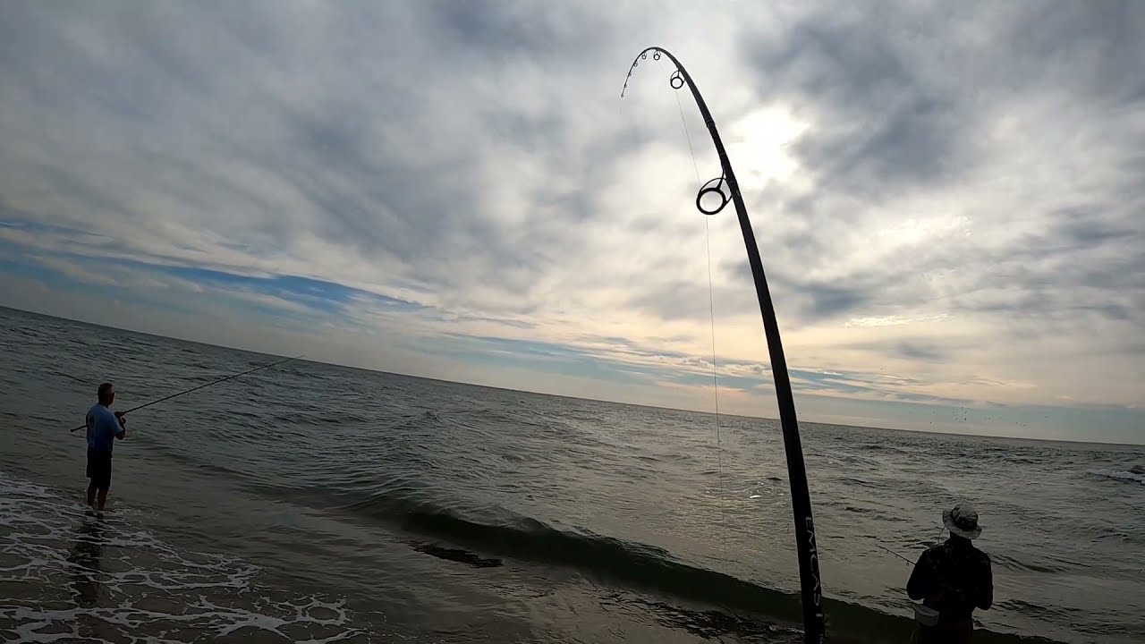 Cape Hatteras The Point...Crazy Bluefish Spanish-Mackerel-Shark and False Albacore Activity
