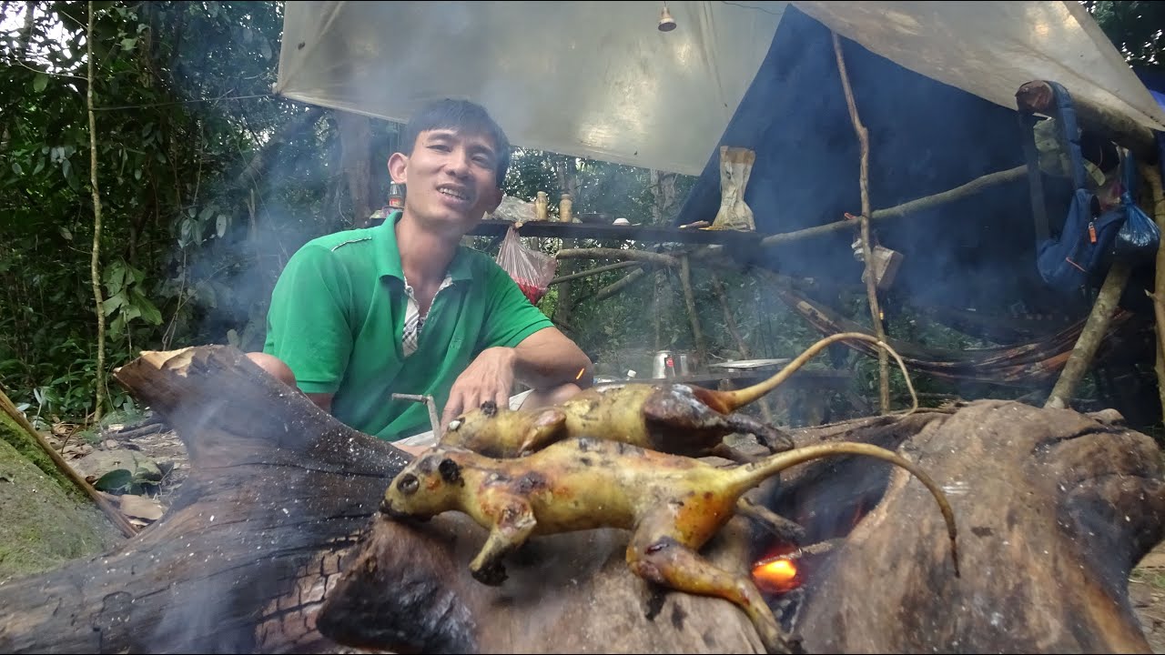 VÀO RỪNG GIÀ SỐNG | T5 - Sống Trong Rừng, Cuộc Sống Hoang dã, Trải Nghiệm Trong Rừng