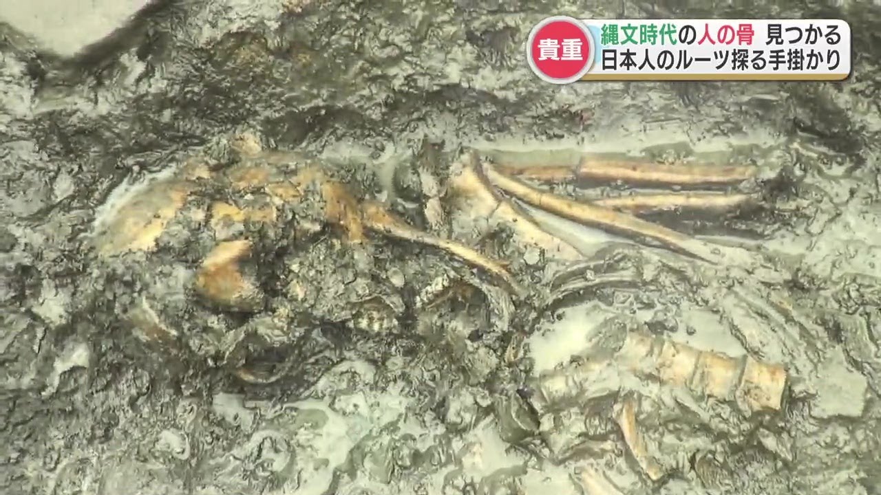 「非常にまれな例」約4000年前の縄文時代の人骨が『ほぼ完全な状態』で発掘　阿高・黒橋貝塚