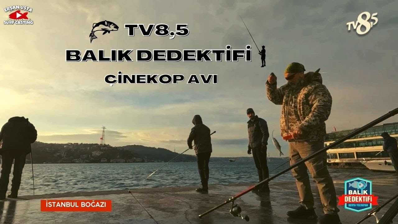 TV8,5 BALIK DEDEKTİFİ PROGRAMINDAYIZ | İSTANBUL BOĞAZI BALIK AVI | #fishing #fish #balıkavı