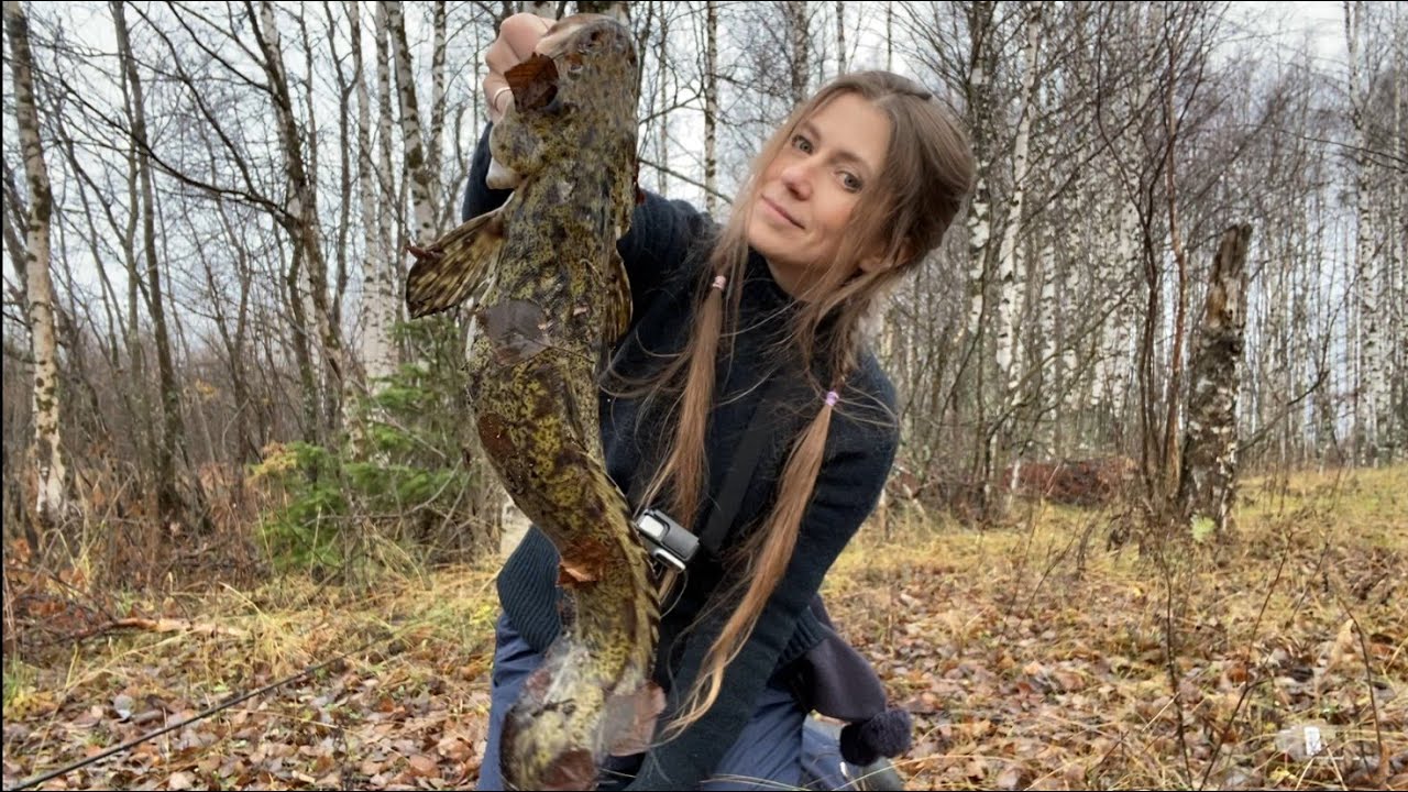 ЛОВЛЯ НАЛИМА НА СЕВЕРЕ. РЫБАЛКА на ФИДЕР поздней Осенью.