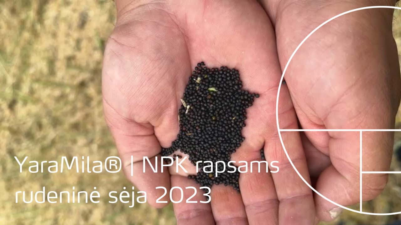 YaraMila® | NPK rapsams | rudeninė sėja 2023