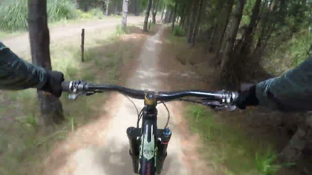 WOODHILL. CHICKEN RUN FUN.LOL