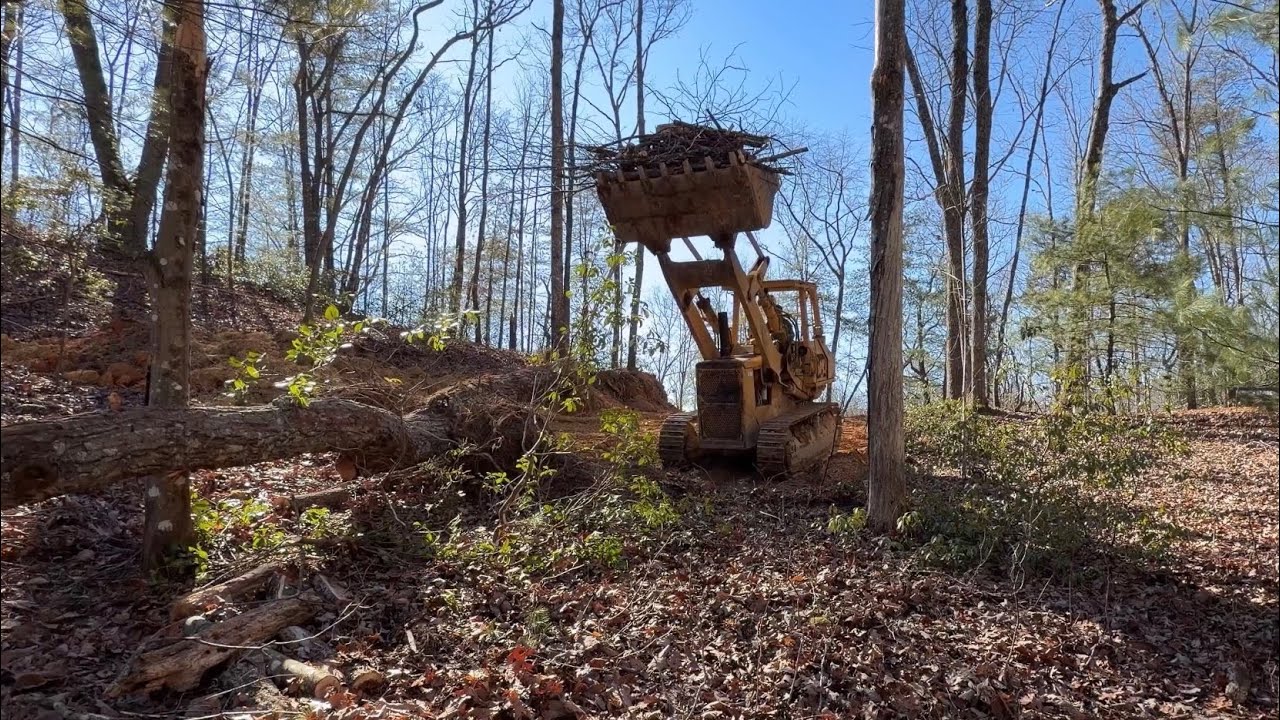 Последние новости по проекту