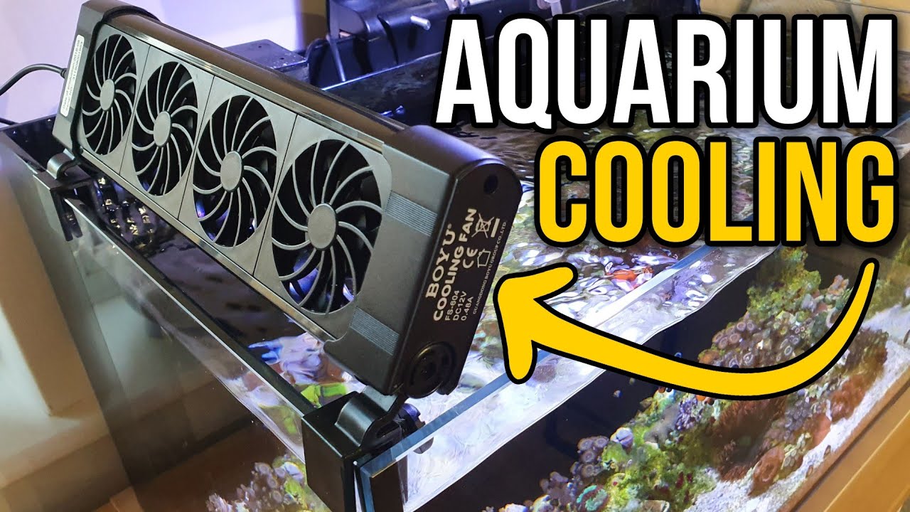 How To Cool Your Reef Tank (Saltwater Aquarium) In The Summer!