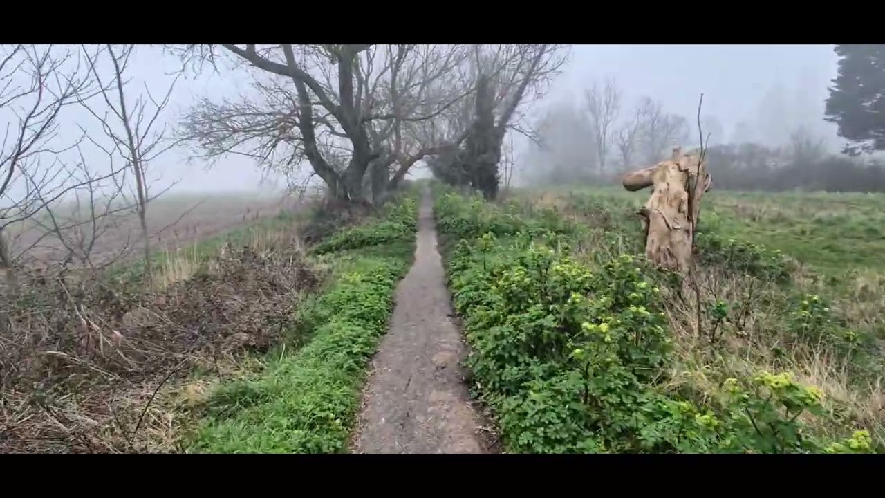 2026 March, walk between Sandwich and Deal in Kent, UK. 