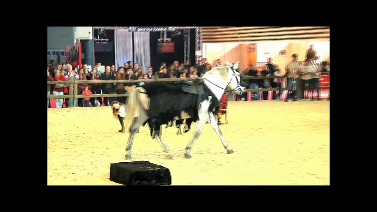 Mearas Spectacle Equestre Voltige cosaque et Liberté