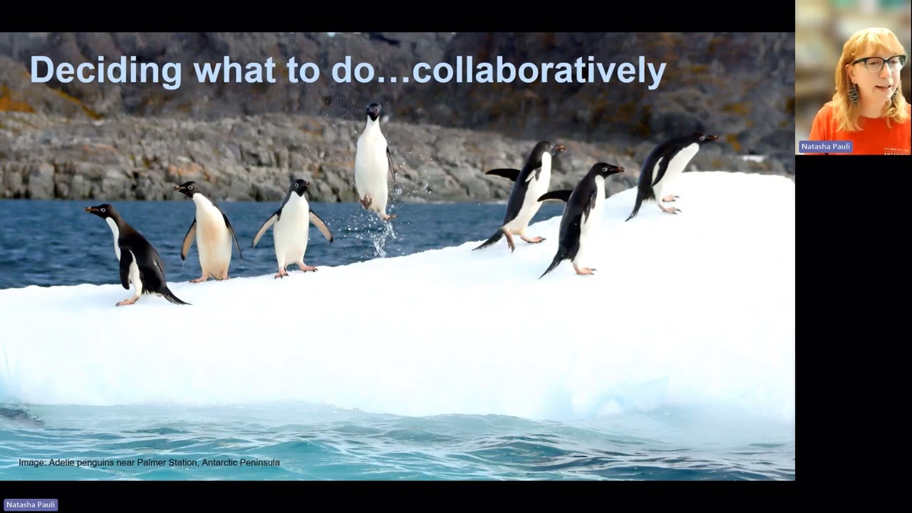 Postcards from Antarctica