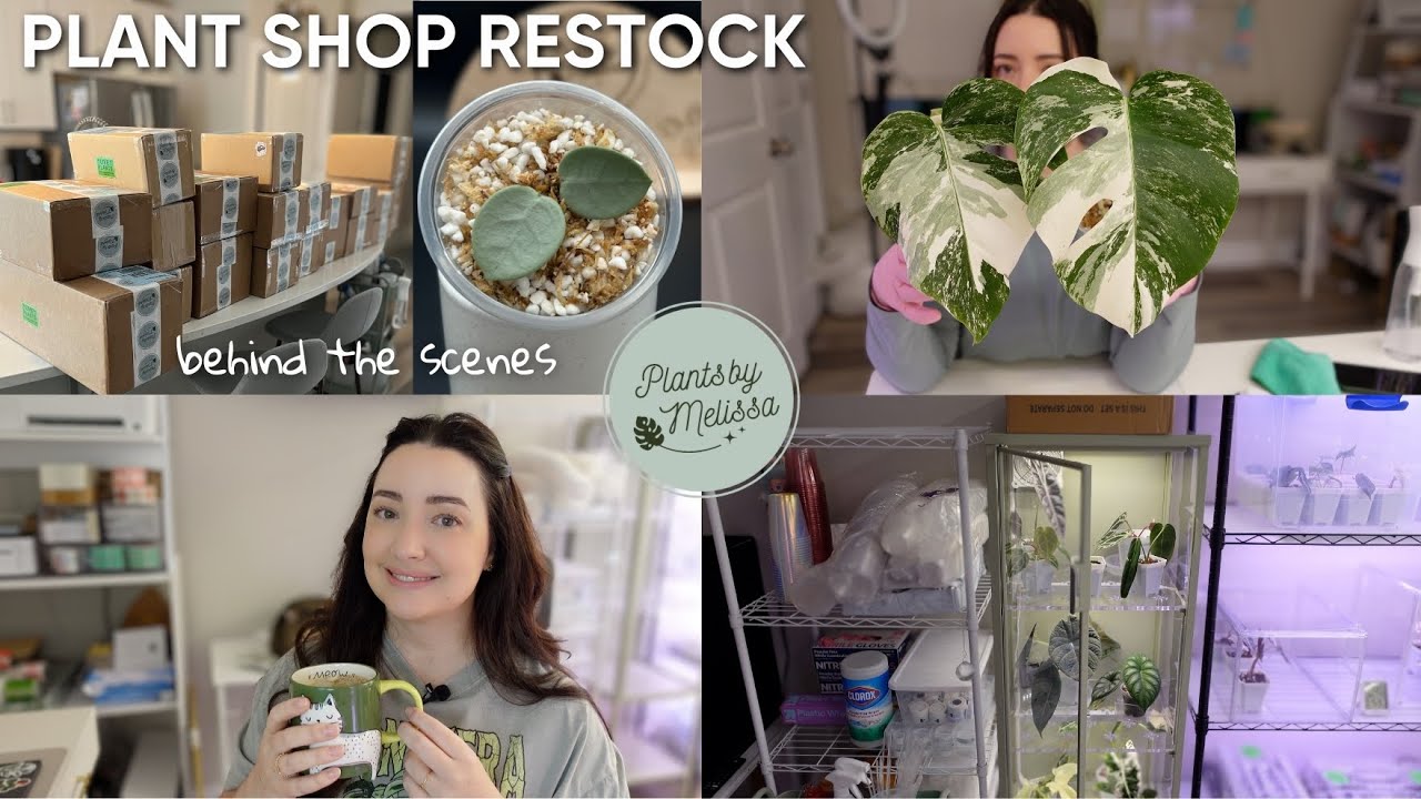 Chatty Plant Shop BTS 🌿 48 Hours of Restock Prep, Shipping Updates & Rearranging
