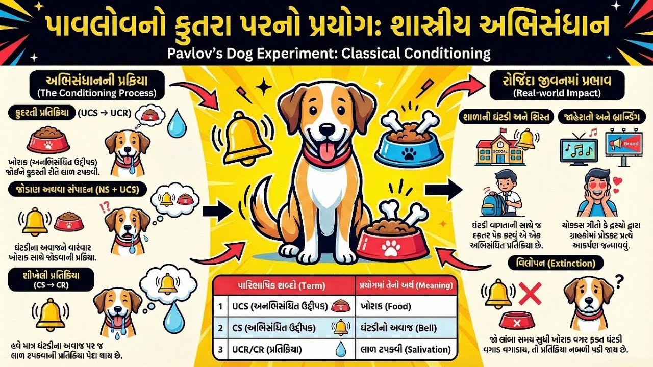 પાવલોનો કુતરા પરનો પ્રયોગ Pavlov નો Classical Conditioning પ્રયોગ | TET/TAT Psychology
