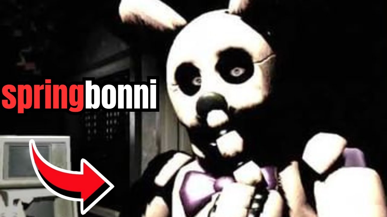 Comment ça y'a springbonni !