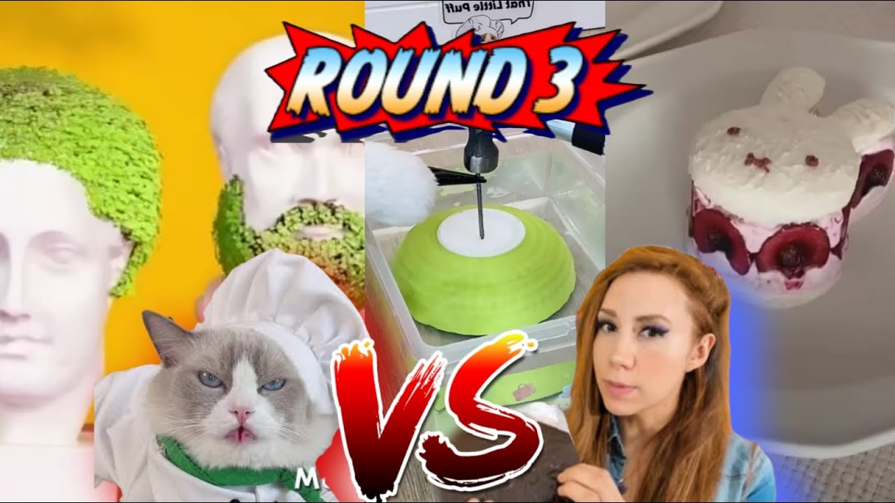 DEBUNK THE MOST DANGEROUS HACKS OF THE VIRAL KITTY ROUND 3