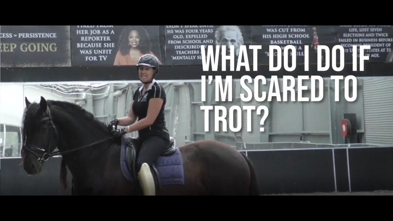 SCARED TO TROT? TRY THIS EXERCISE! - FearLESS Friday Episode 66