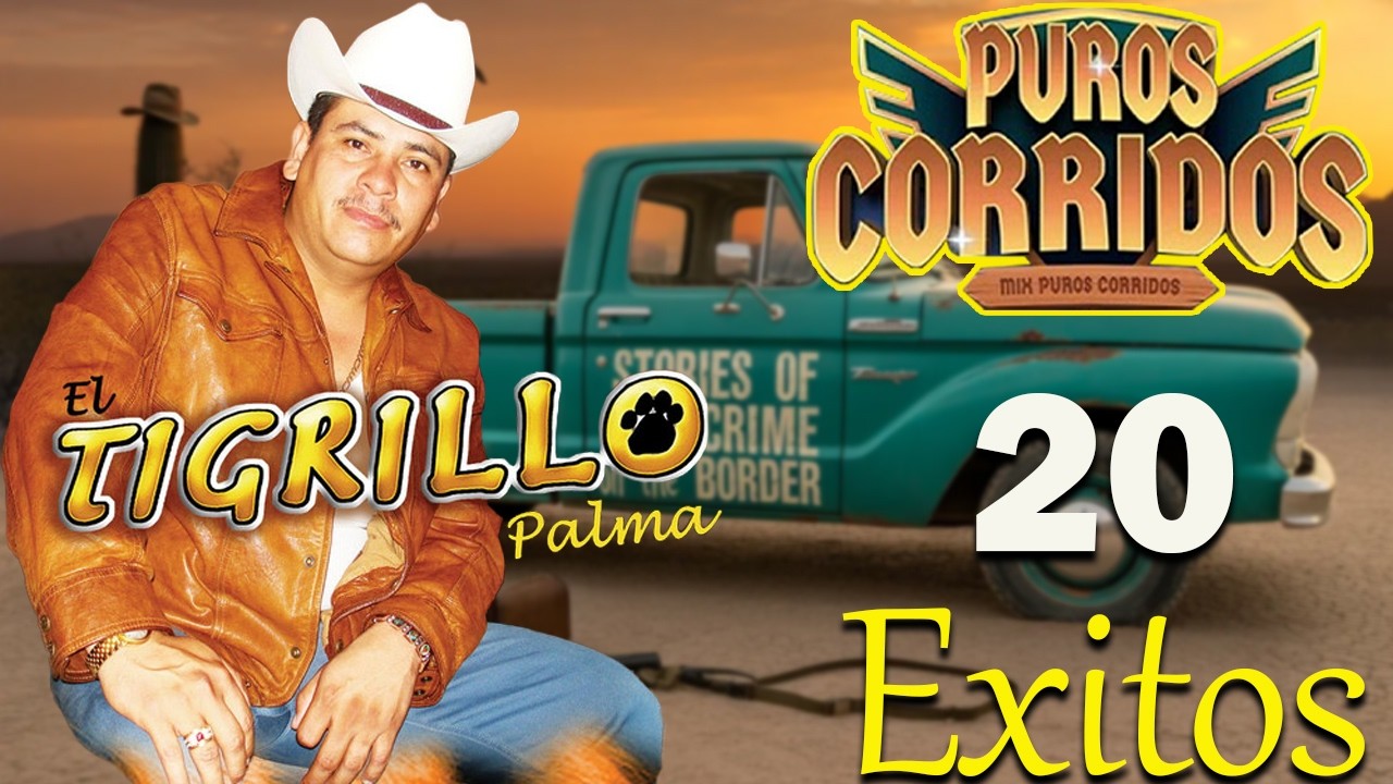 El Tigrillo Palma 🐅 Puro Corrido Perrón | Rolonas Pesadas Pa’ Pistear 🍻🔥