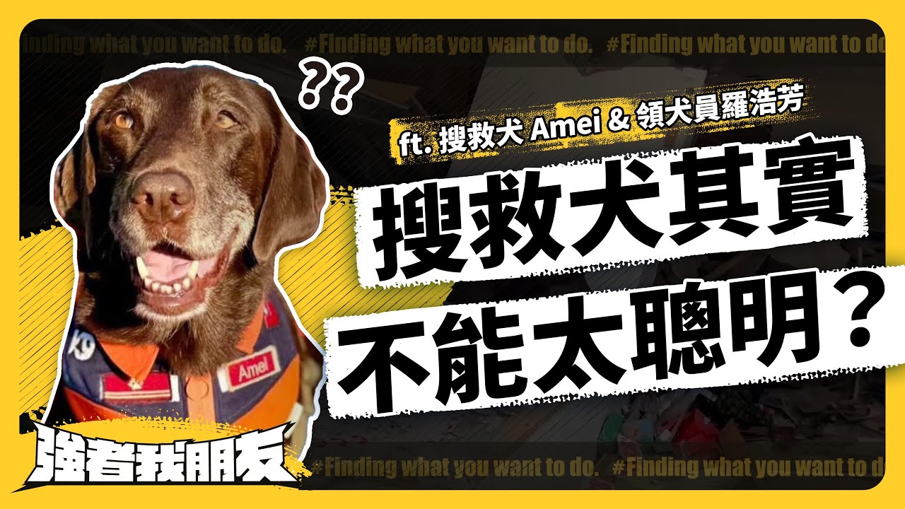 如何找尋生還者？花蓮地震救災英雄 Amei 現場示範！搜救犬＆領犬員工作秘辛大公開！ ft. 搜救犬 Amei & 領犬員羅浩芳‬ 《 強者我朋友 》EP 066｜志祺七七