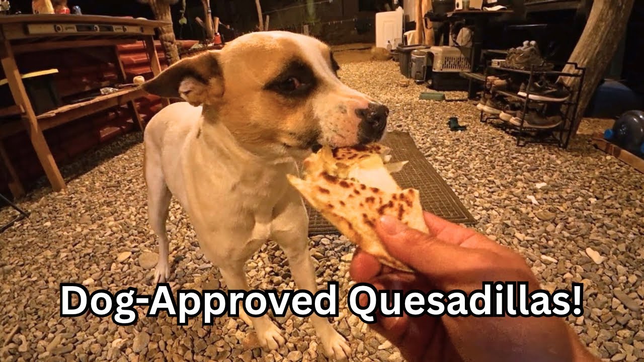 A Day in the Life | Living in Mexico 🇲🇽 | Fresh Quesadillas, Margaritas & Chill Vibes!