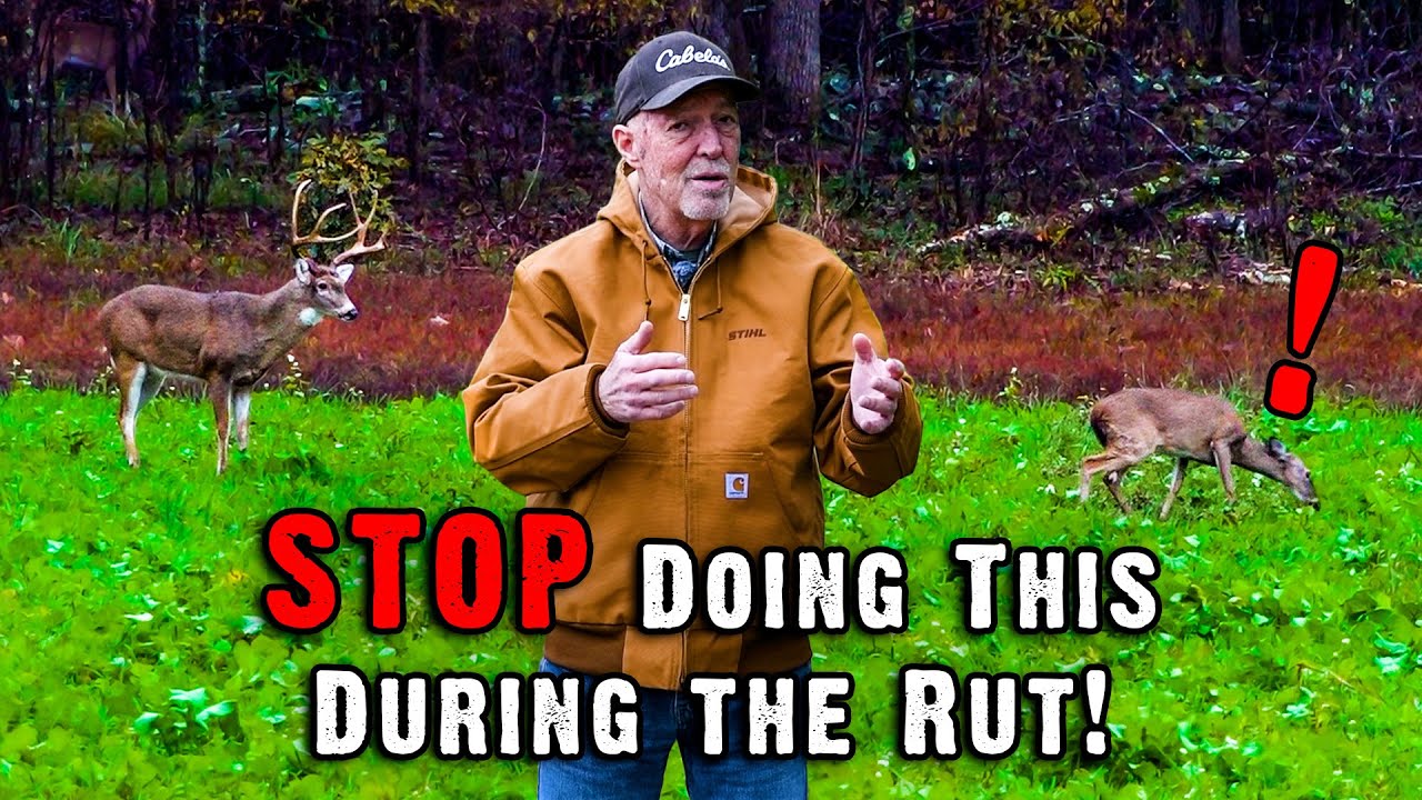 3 Biggest Mistakes Hunters Make During the Whitetail Rut (and How to Avoid Them)