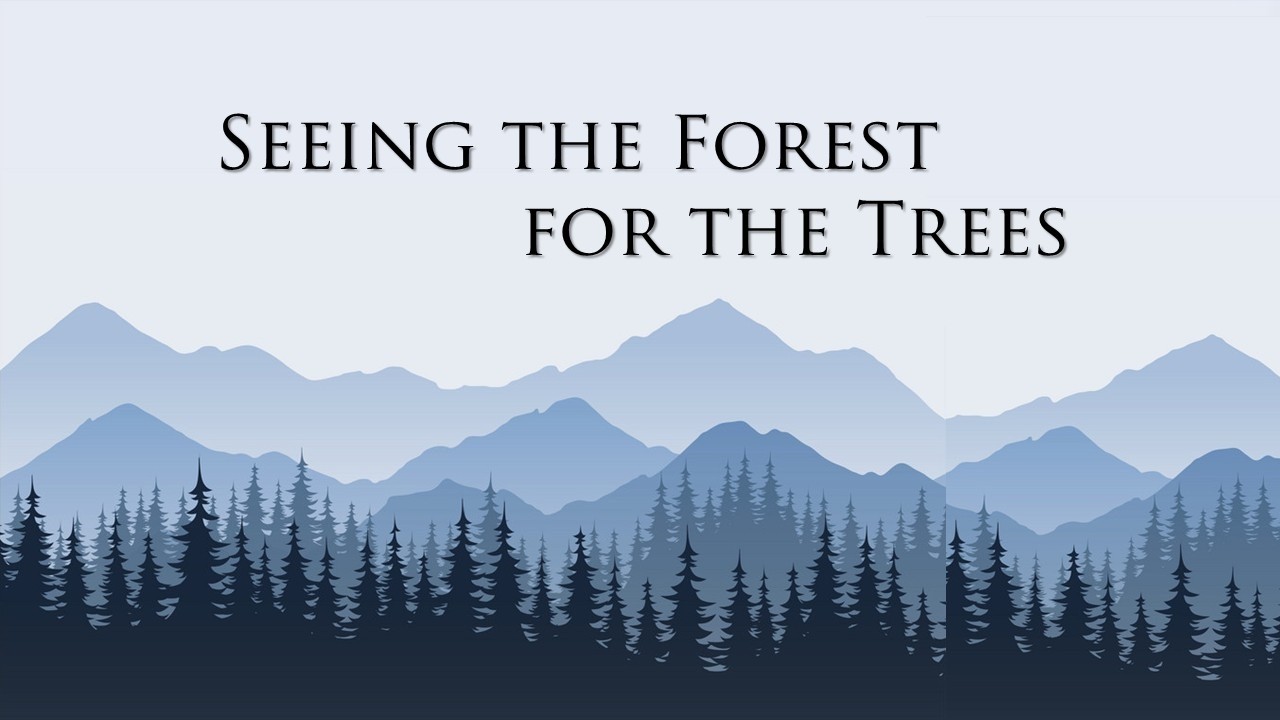 Seeing the Forest