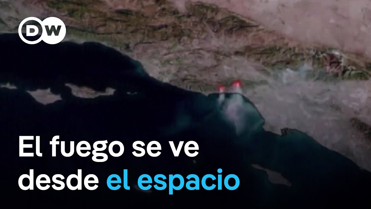 Fuego en Los Ángeles: surgen nuevos focos de incendio en zonas de bosque y montaña