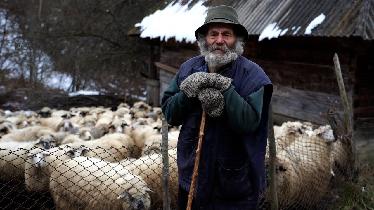 Viața grea a unui bătrân singuratic de 84 ani departe de civilizație | A văzut 40 de LUPI în haită