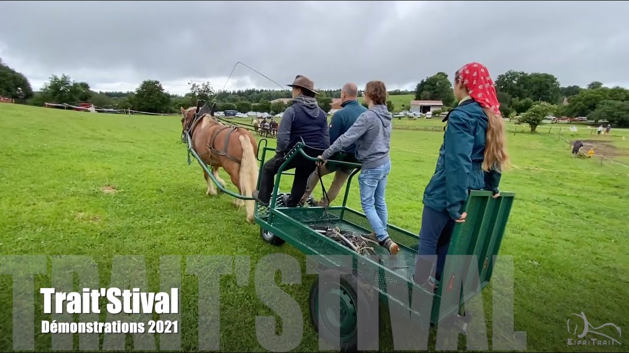 Trait'stival 2021 Démonstrations, animations, concours...