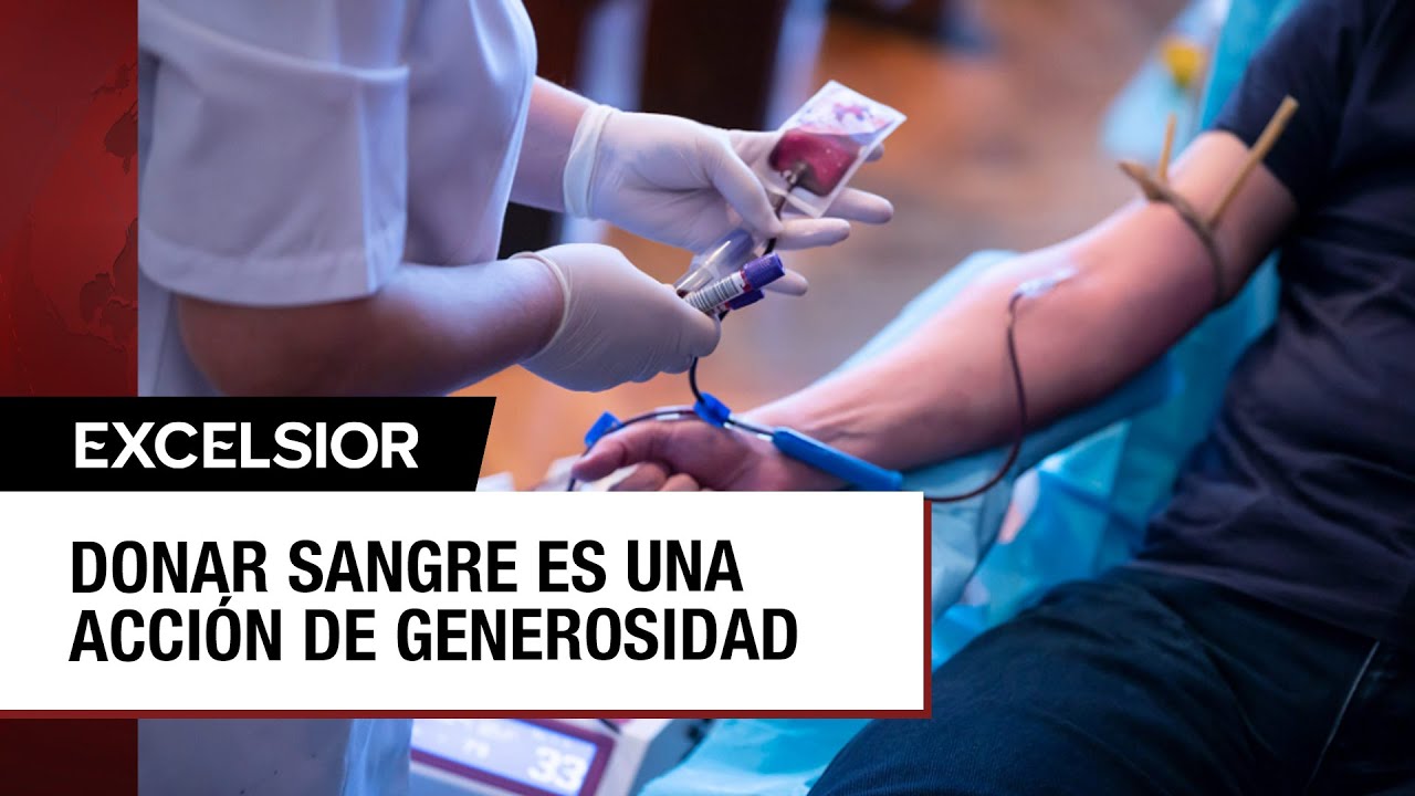 Así es el procedimiento para donar sangre