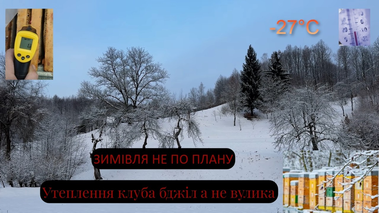 Зимівля не по плану або як зберігти бджіл