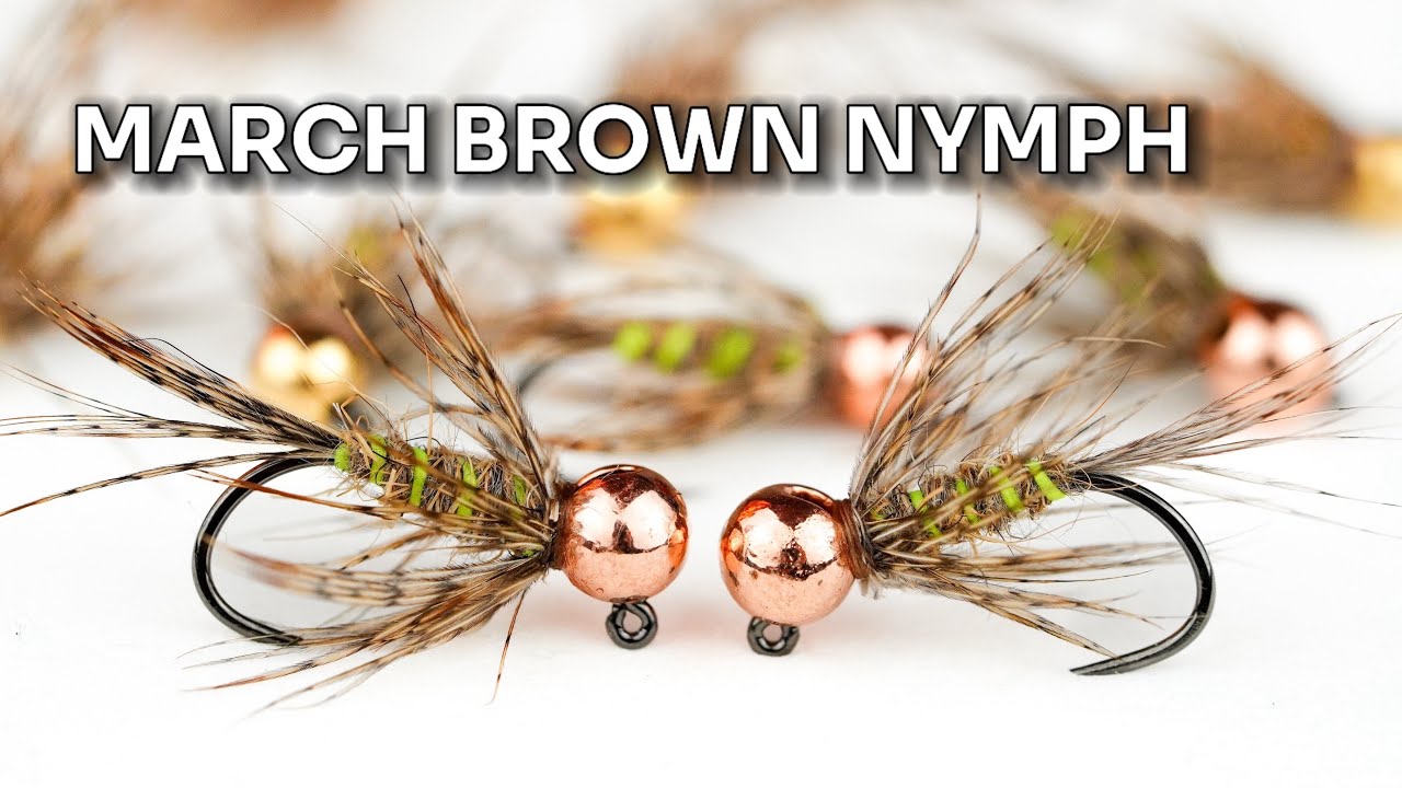 Tungsten March Brown Jig Nymph - Nimfa na Dunajec / Pstrągi i Brzany