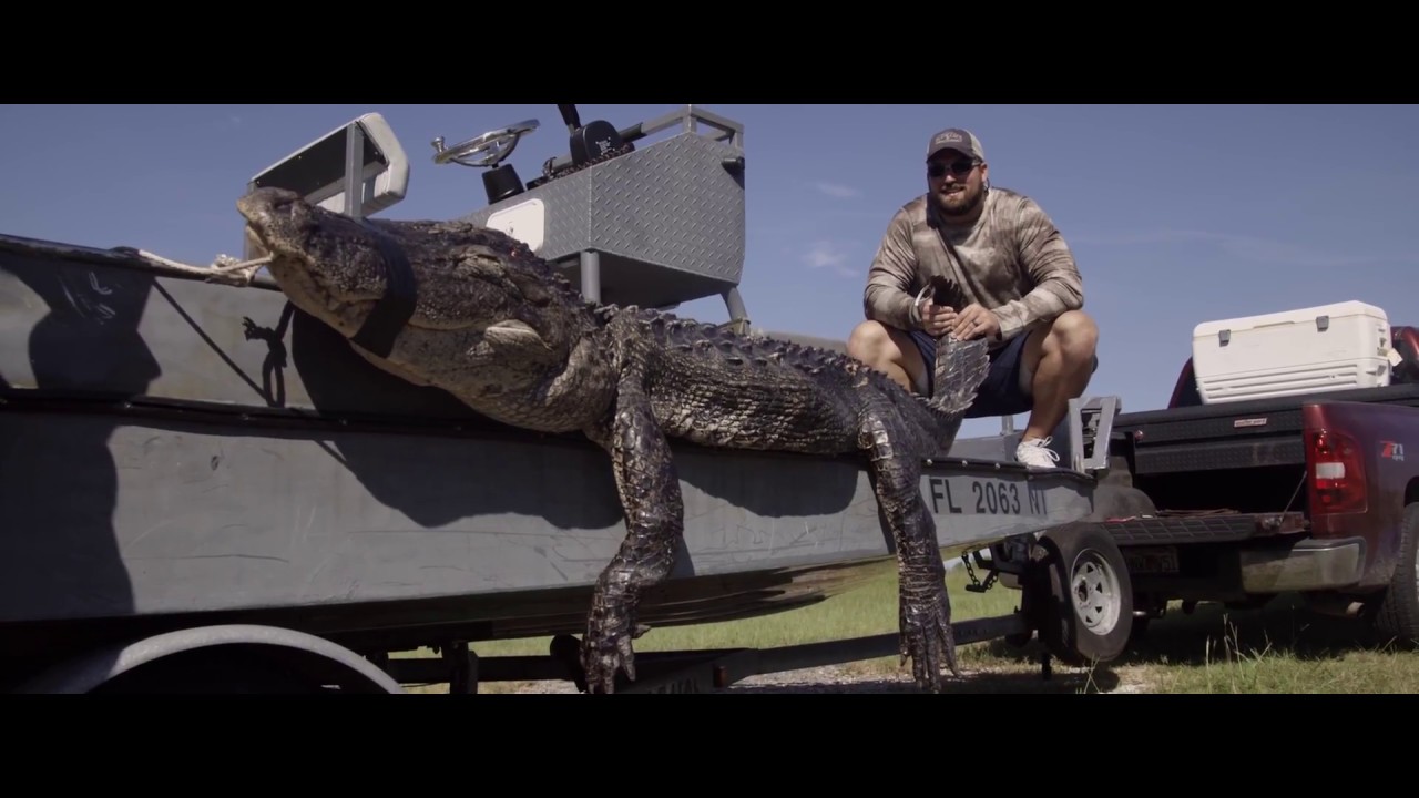 Harvested:  Last Hurrah with Josh Kline
