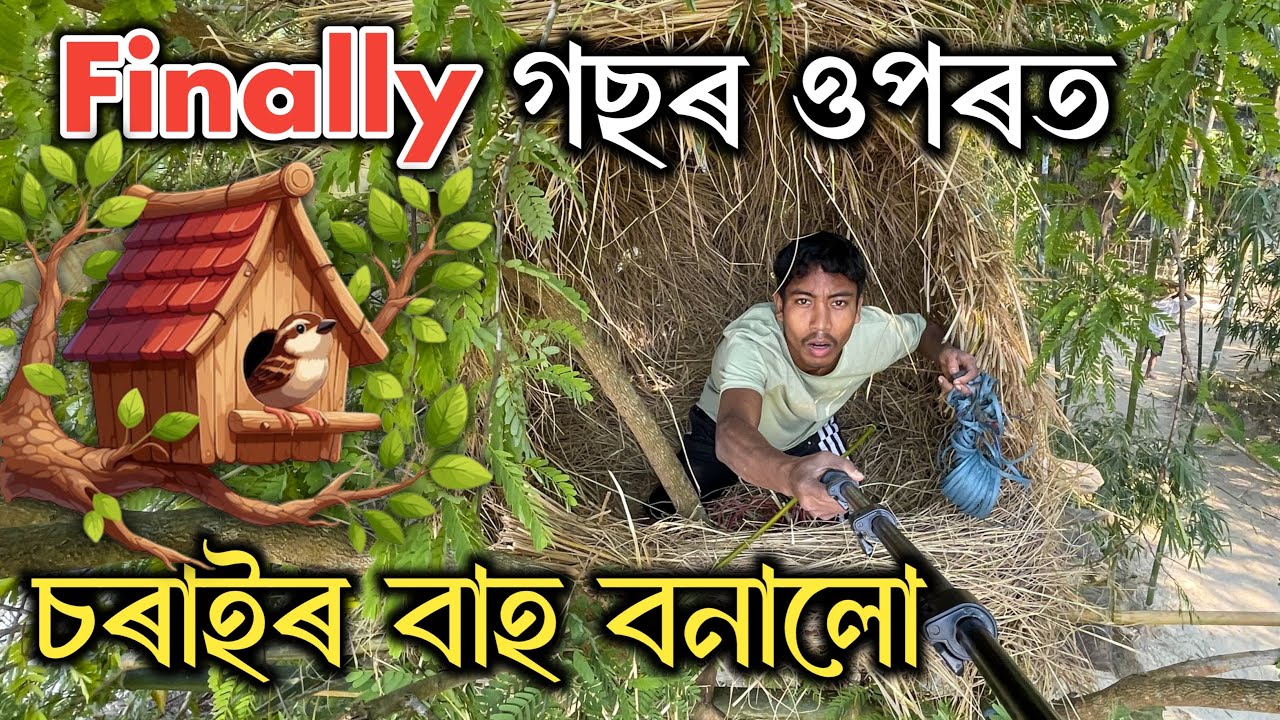 চৰাই থকা ঘৰ বনালো - We Build Birdhouse 🦜